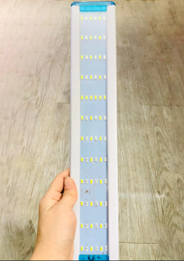 Led Kaokui trắng 6 hàng - 60cm