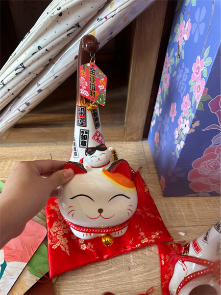 Mèo Đuôi Đài size L