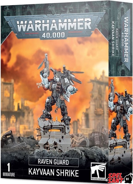 RAVEN GUARD KAYVAAN SHRIKE