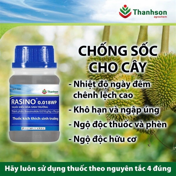 RASINO 0.018WP KÍCH THÍCH SINH TRƯỞNG ( T/100C )