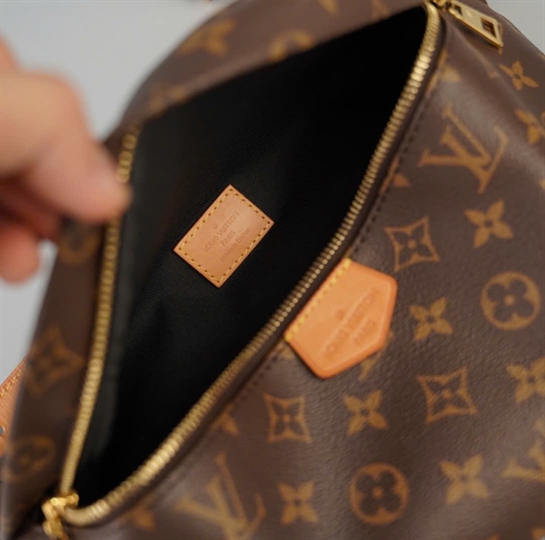 Túi LV Bumbag hoa nâu sz27 (BMC)+