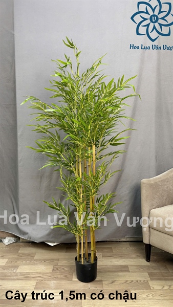 Cây trúc 1,5m có chậu - Cây - Hoa Lụa Vân Vượng