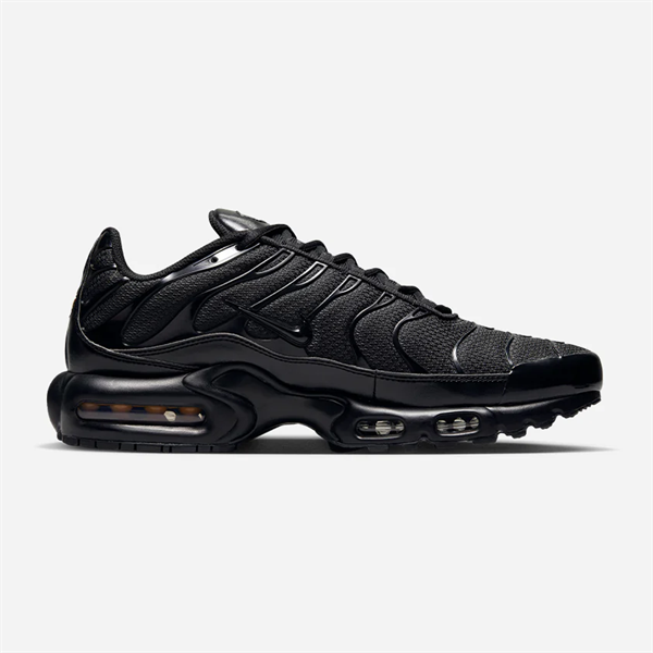 Air Max Plus Triple Black