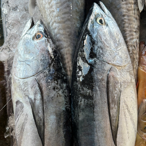 Ngừ nửa con về đầu