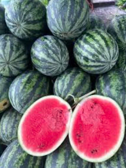 Dưa hấu sọc - Watermelon