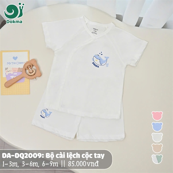 DB2009 - 3M/9M Bộ cộc cài lệch