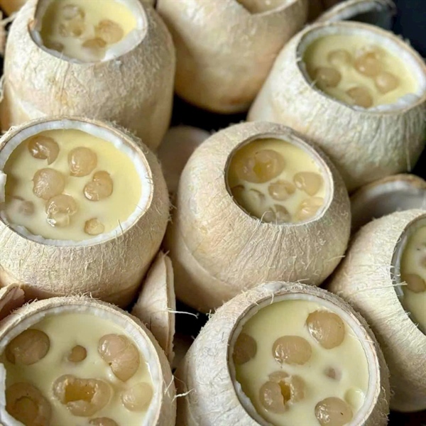 THẠCH DỪA LONG NHÃN HẠT SEN