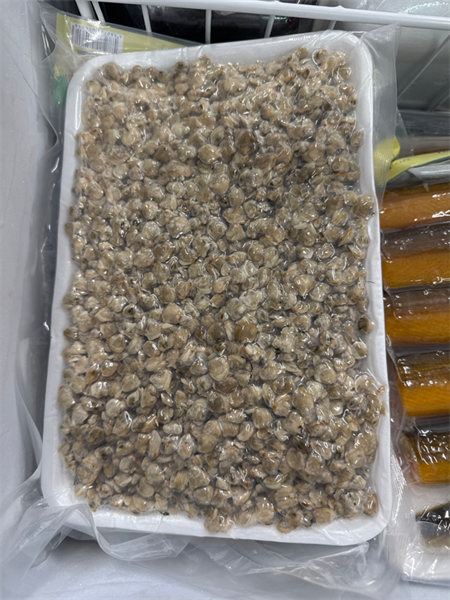 HẾN ĐÔNG LẠNH 500G