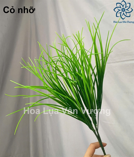 Cỏ nhỡ - Hoa cành ngắn - Hoa Lụa Vân Vượng