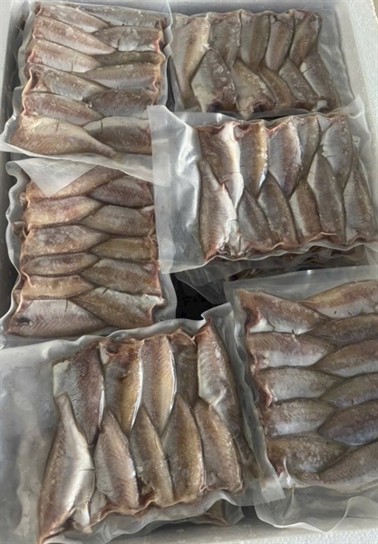 Cá đù 1 nắng