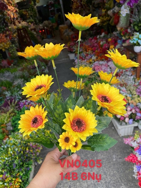 BỤI HƯỚNG DƯƠNG 14 NHÁNH 14B 6 NỤ -NGH VN0405