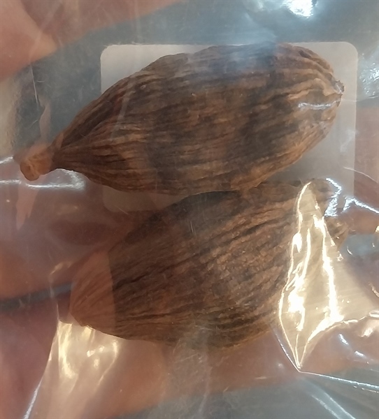 Thảo quả