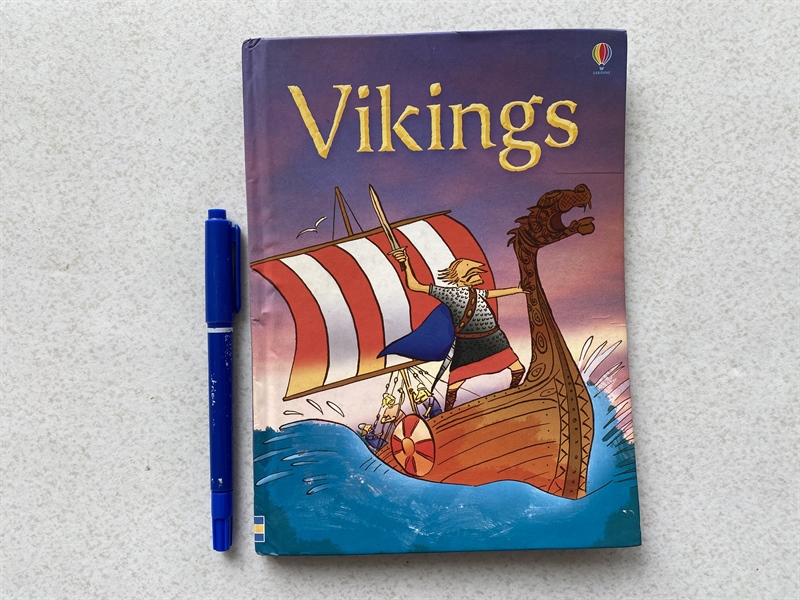 Vikings - by Stephanie Turnbull