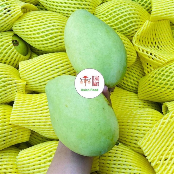 Xoài xanh - xoài cát chu Green (sour) mango