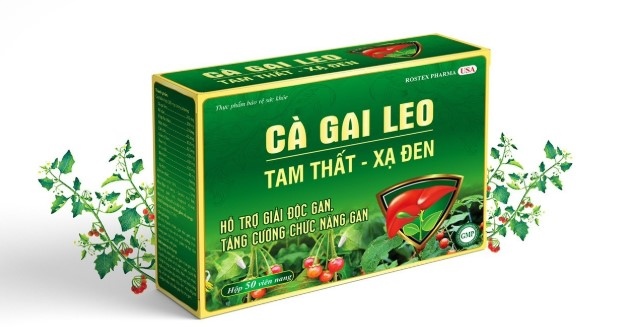 Cà Gai Leo tam thất - xạ đen_h50v_Rostex date 2/2028 ( )