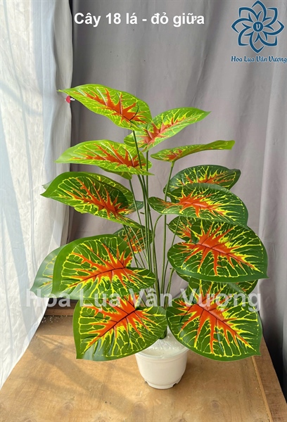 Cây 18 lá - đỏ giữa - Cây - Hoa Lụa Vân Vượng