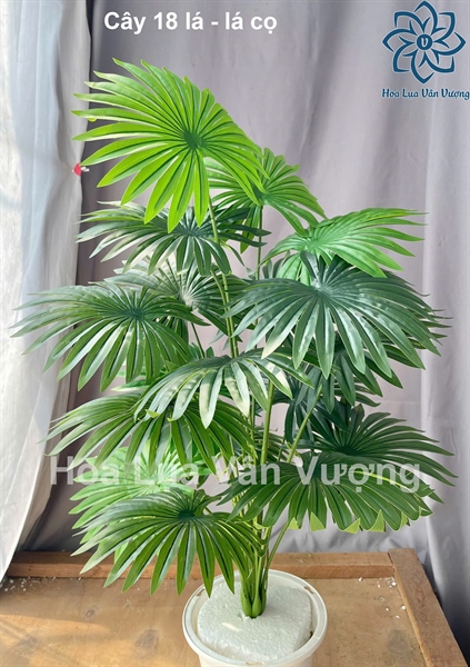 Cây 18 lá - lá cọ - Cây - Hoa Lụa Vân Vượng