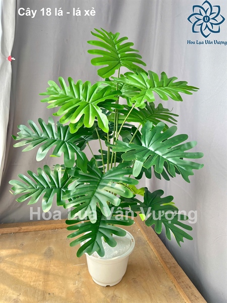 Cây 18 lá - lá xẻ - Cây - Hoa Lụa Vân Vượng