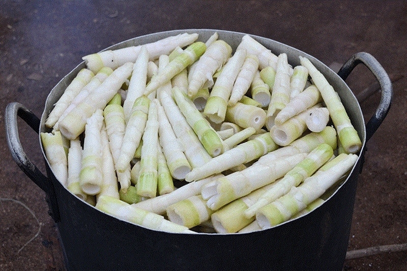 Măng trúc nhỏ 小さなタケノコ