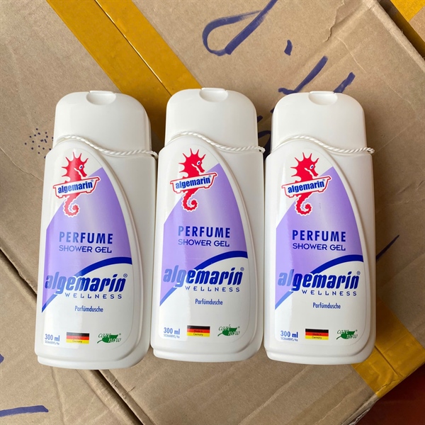 St Cá Ngựa (vuông) 300ml