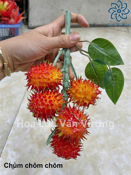 Chùm chôm chôm - Quả và dây quả - Hoa Lụa Vân Vượng