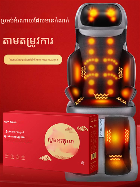 Full body massage machine (premium version)
