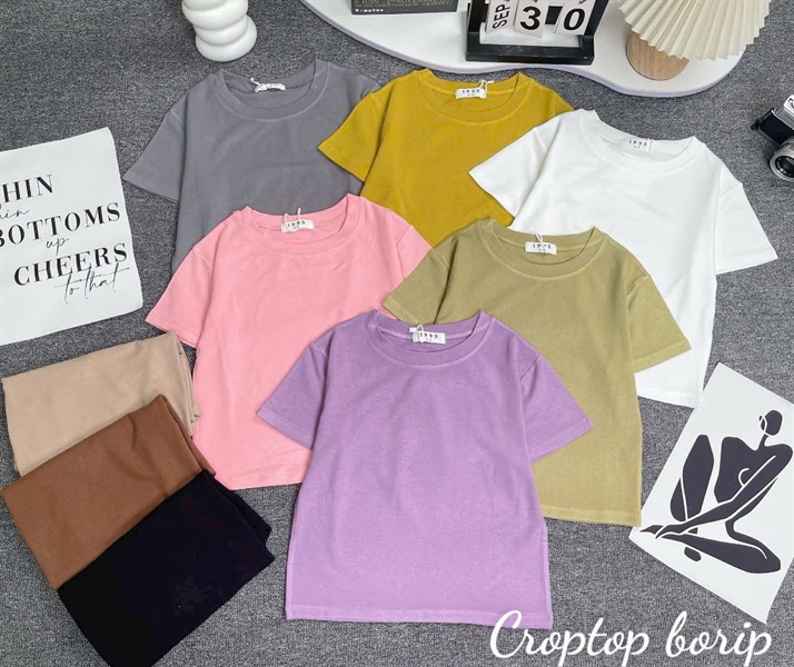 KT ÁO MÀU CROPTOP TN 5563 LP