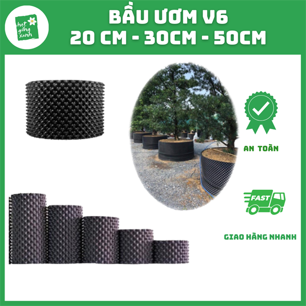 1m Bầu Ươm V6 Cao 30cm