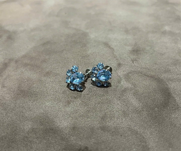 Bông tai hoa xanh KG+