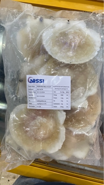 Sò điệp nửa mãnh 10/12