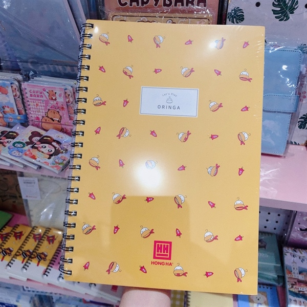 Sổ Vẽ lò xo A4 Hong Ha 4169