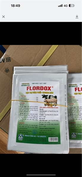 Flodoxy 100gam Mepipha