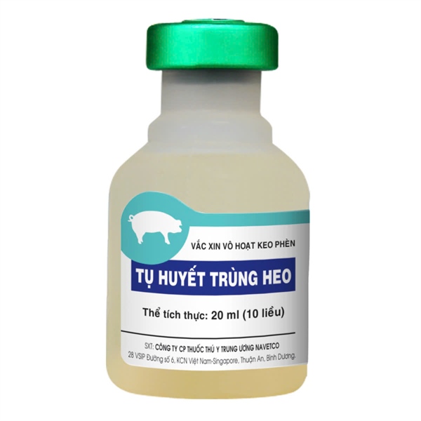 tht- tụ huyết trùng heo 10 liều nước