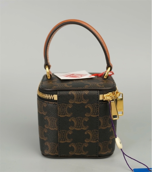 Túi Celine Vanity nâu sz10 kèm tag xanh (A-T) KG+