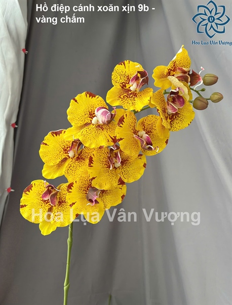 Hồ điệp cánh xoăn xịn 9b - vàng chấm - Hồ điệp, lan - Hoa Lụa Vân Vượng
