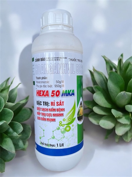 HOANGANHVIL 50SC (HEXA 50 MKA)