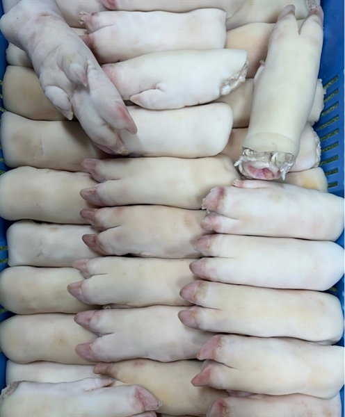 Mong heo tươi