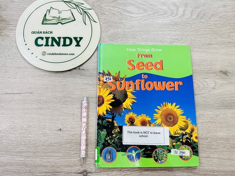From Seed To Sunflower
