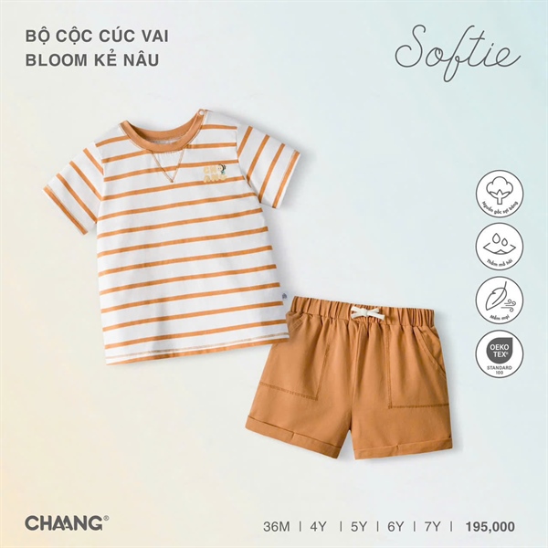 Chaang Bộ ngắn CV Bloom - kẻ nâu