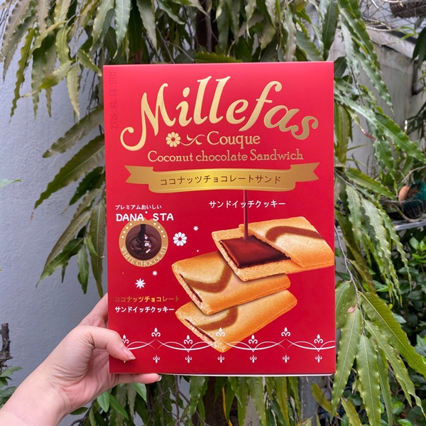 Bánh Quy Socola Chảy MILLEFAS 230g