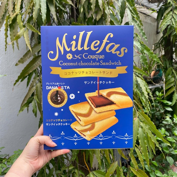 Bánh Quy Socola Chảy MILLEFAS 230g