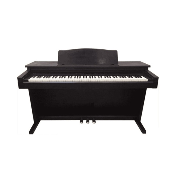 Đàn Piano Điện Roland HP230