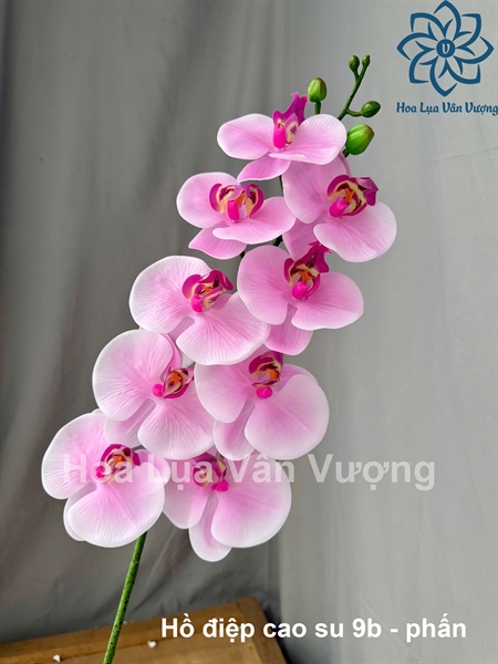 Hồ điệp cao su 9b - Phấn - Hồ điệp, lan - Hoa Lụa Vân Vượng