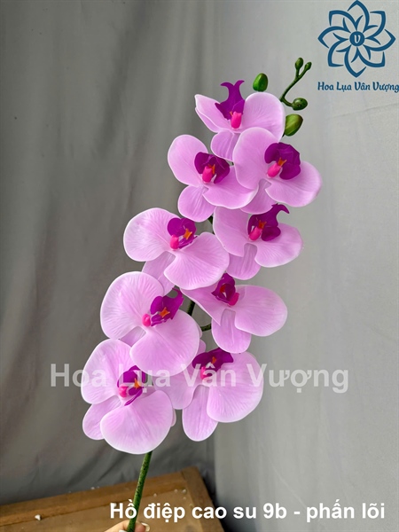 Hồ điệp cao su 9b - Phấn lõi - Hồ điệp, lan - Hoa Lụa Vân Vượng