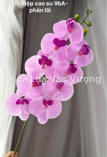 Hồ điệp cao su 9b A - Phấn lõi - Hồ điệp, lan - Hoa Lụa Vân Vượng