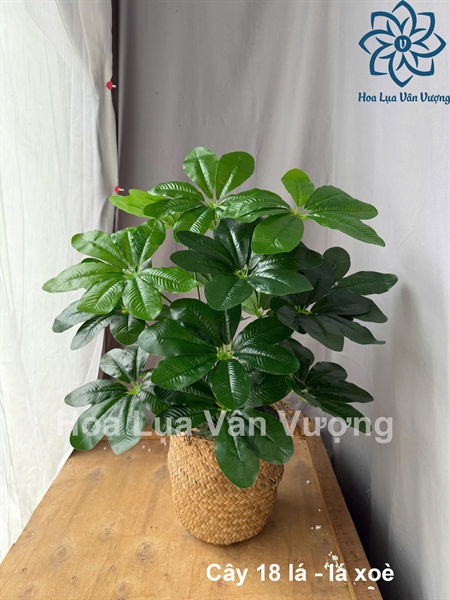 Cây 18 lá - lá xòe - Cây - Hoa Lụa Vân Vượng