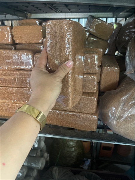VT- dừa nén nhỏ-duoc-ban-tai-Chợ gốm Bảo Lộc