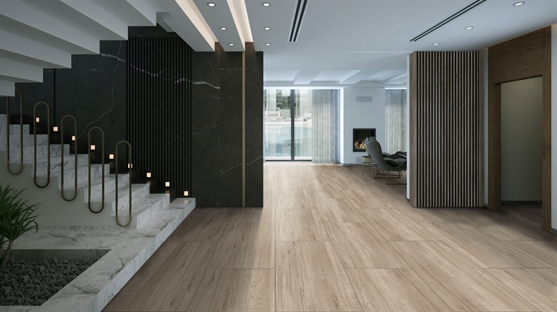 TN013D62-Gạch matt hiệu ứng granite 9mm-3v/t