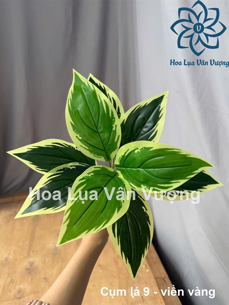 Cụm lá 9 - viền vàng - Lá cành ngắn - Hoa Lụa Vân Vượng