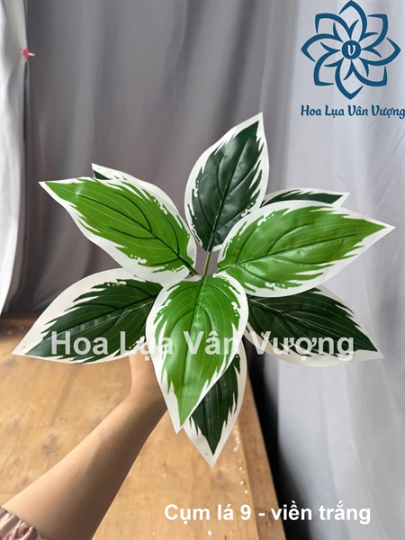 Cụm lá 9 - viền trắng - Lá cành ngắn - Hoa Lụa Vân Vượng